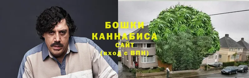 omg маркетплейс  Губаха  Каннабис гибрид  магазин продажи наркотиков 